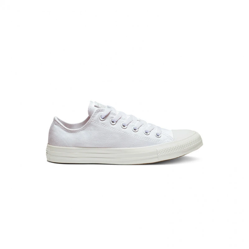 Converse Chuck TaylorAll Star Mono Colour 1 Converse Chuck TaylorAll Star Mono Colour